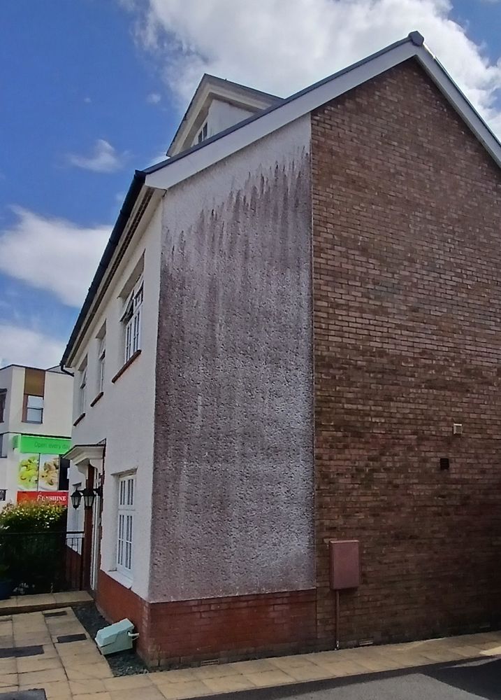 Photo of a modern house with a part-rendered gable wall. The render is stained from about 0.5m below the barge boards but the front elevation is almost entirely clear of stains