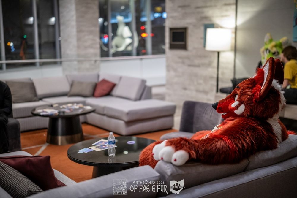 Red wolfo, staring blankly out dark windows, sits on the worlds most uncomfortable couch.