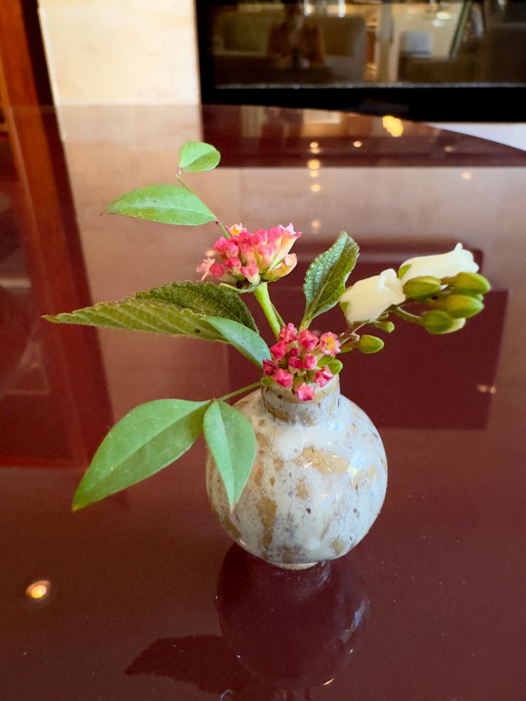 Miniature Japanese floral arrangement with green leaves, white and pink flowers in a white and cream vase. Sitting on a burgundy table. 