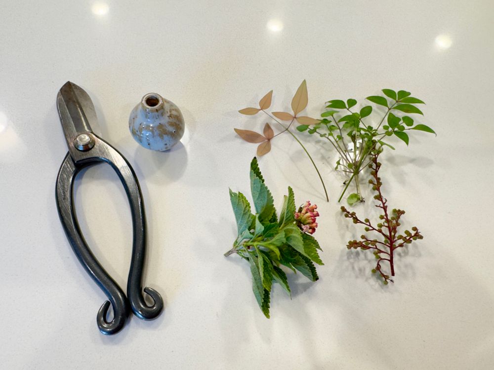 A pair of black ikebana or bonsai scissors, a small white and cream vase, several branches and flower materials on a white background 