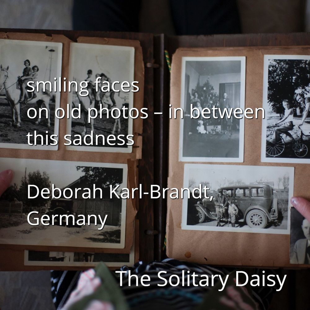 A background of various black and white photos mounted on brown paper in a photo album.
Text reads
smiling faces
on old photos - in between 
this sadness
- Deborah Karl-Brandt 
Germany
The Solitary Daisy 