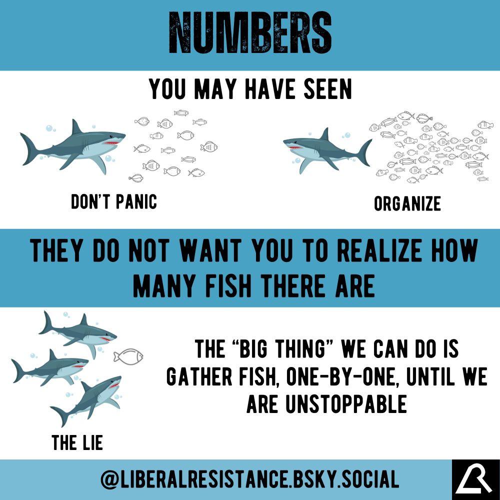 Top of image says:
Numbers.
You may have seen:

Under the text is an illustration of a shark chasing a school of fish.
The next illustration is the school of fish forming together in a giant fish shape chasing the shark.
Words below say, “Don’t Panic.  Organize.”

Beneath that it says:
They do not want you to realize how many fish there are.

There is an illustration that says, “the lie,” and has three sharks and one fish.

The “big thing” we can do is gather fish, one-by-one, until we are unstoppable.

Bottom of the image says: @liberalresistance.bsky.social and has the resistance symbol in the bottom right.
