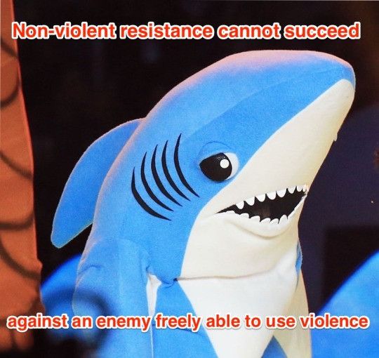 non-violent resistance cannot succeed against an enemy freely able to use violence