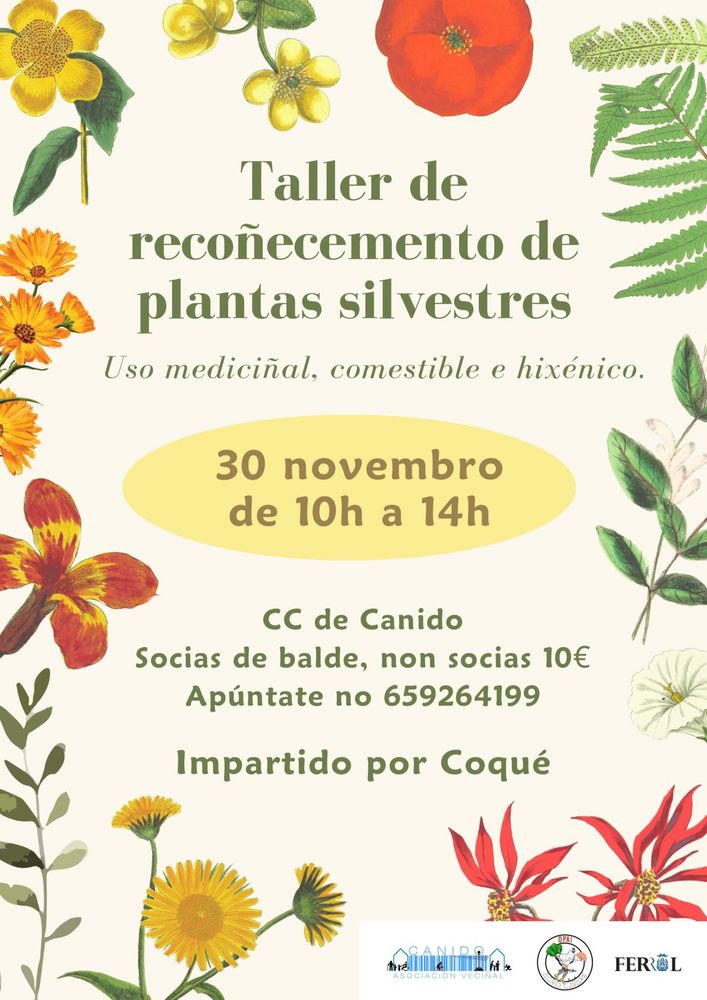 Cartel Taller Recoñecemento de Plantas Silvestres