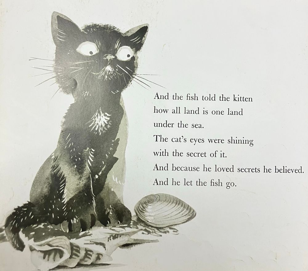 A black & white illustration of a black cat with big eyes surrounded by shells. The words next to the illustration say:
And the fish told the kitten how all land is one land under the sea.
The cat's eyes were shining with the secret of it.
And because he loved secrets he believed.
And he let the fish go.