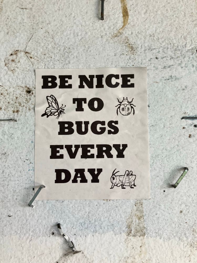 a sepia-toned sticker with a butterfly, a beetle, & a grasshopper on it, plus the words "be nice to bugs every day"