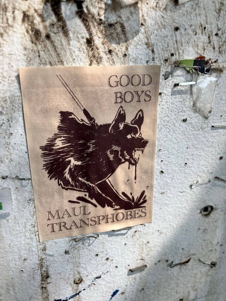 a sepia-toned sticker on a community notice board featuring a slavering dog on a leash & the words "good boys maul transphobes"