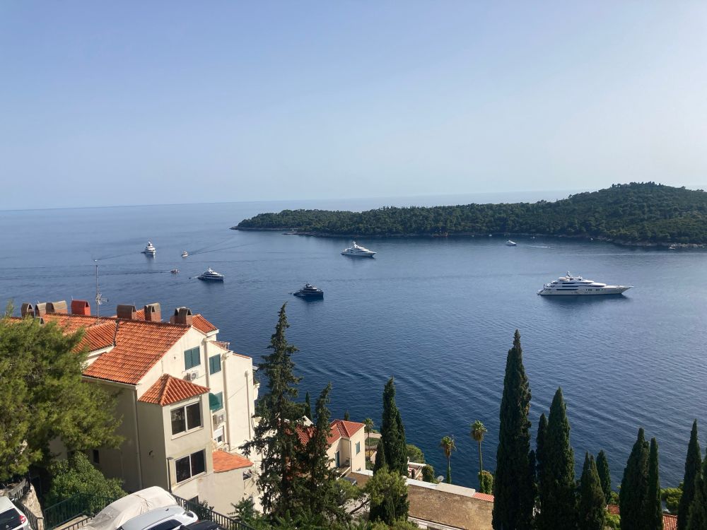 Jättefin utsikt över havet.