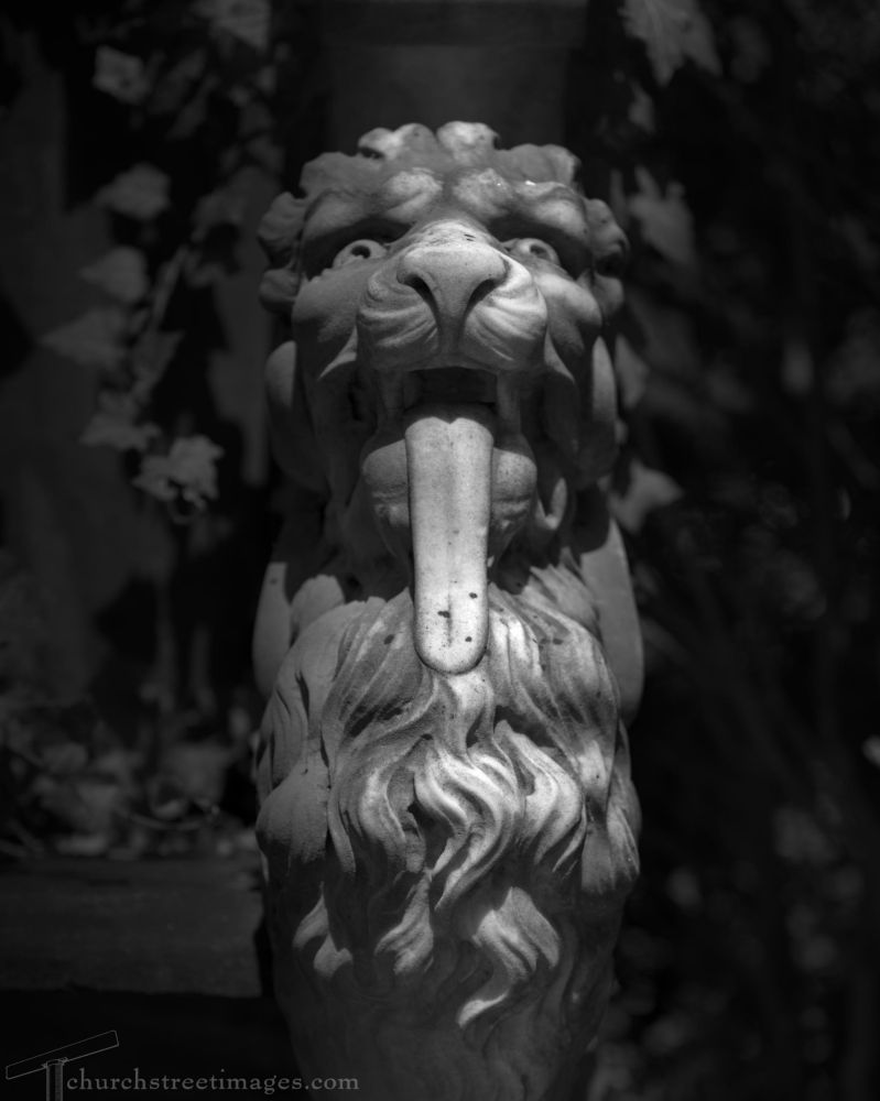 Black and white photo of a lion statue. It's looking straight at the camera. Its mouth is open and its comically long tongue is hanging down. A beam of sunlight runs straight down the middle of its face and the rest of the scene is in shadow.