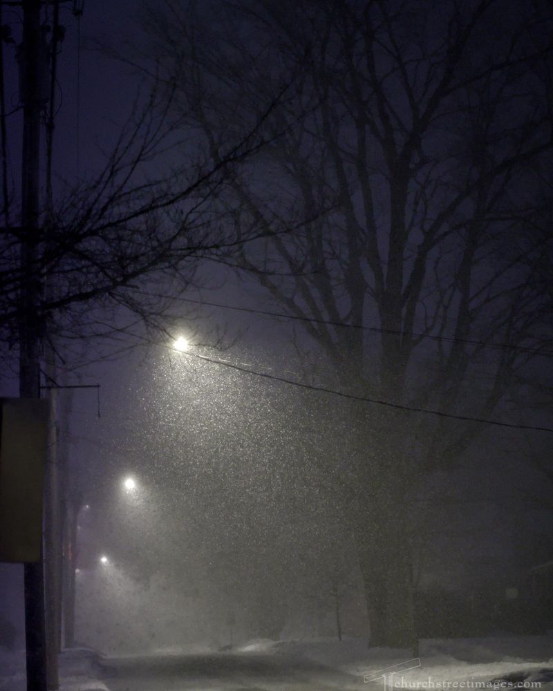 Snow falling on a little street lit by street lights between towering leafless trees 