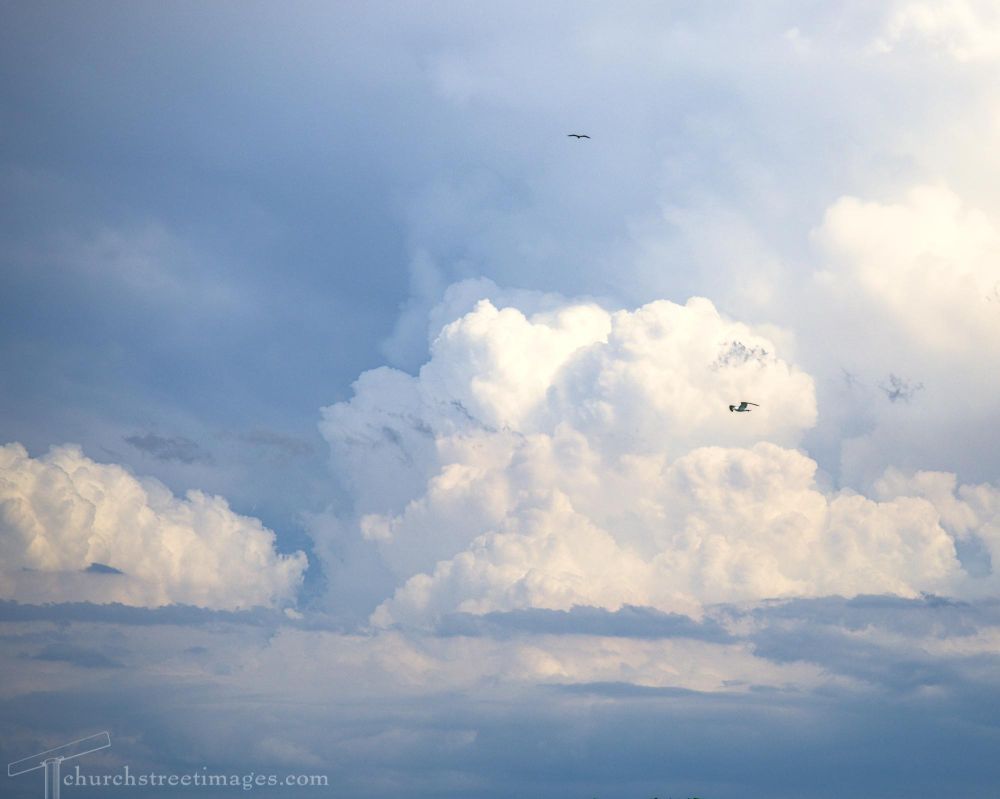 Fluffy clouds passing over a lake. Seagulls wheeling. 