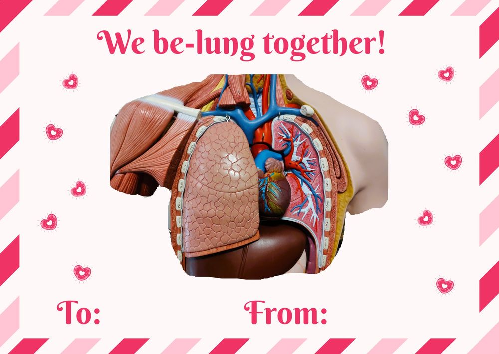 A postcard with a light pink, dark pink, and white striped border. The text at the top reads "We be-lung together!" then there is a central image of a human anatomy model torso. Either side of the torso are red love hearts. Underneath "to:" and "from:" are written with blank space to add names.