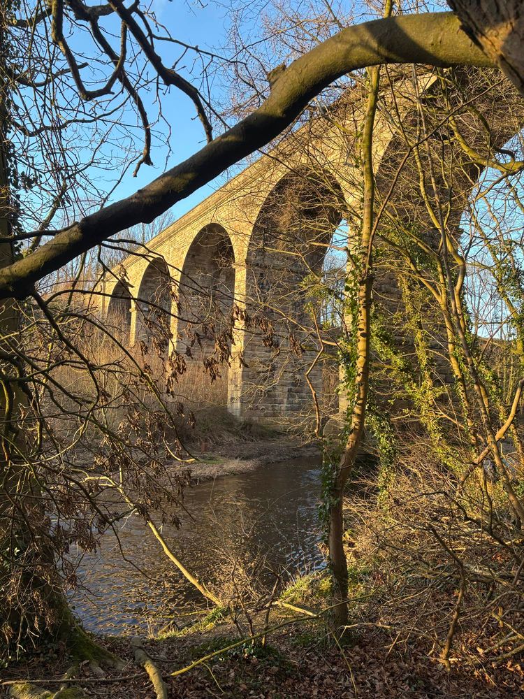 Approaching the golden lit viaduct
