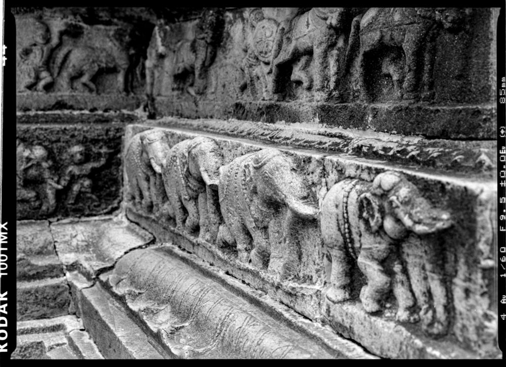 A line of elephants at the Hazara Rama temple in the royal enclosure at Hampi. 