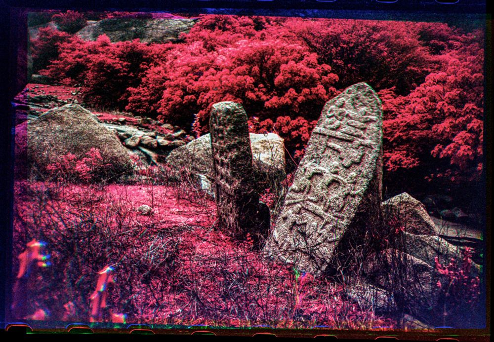 A false color red vegetated landscape with carved “hero” stones in the foreground. 
