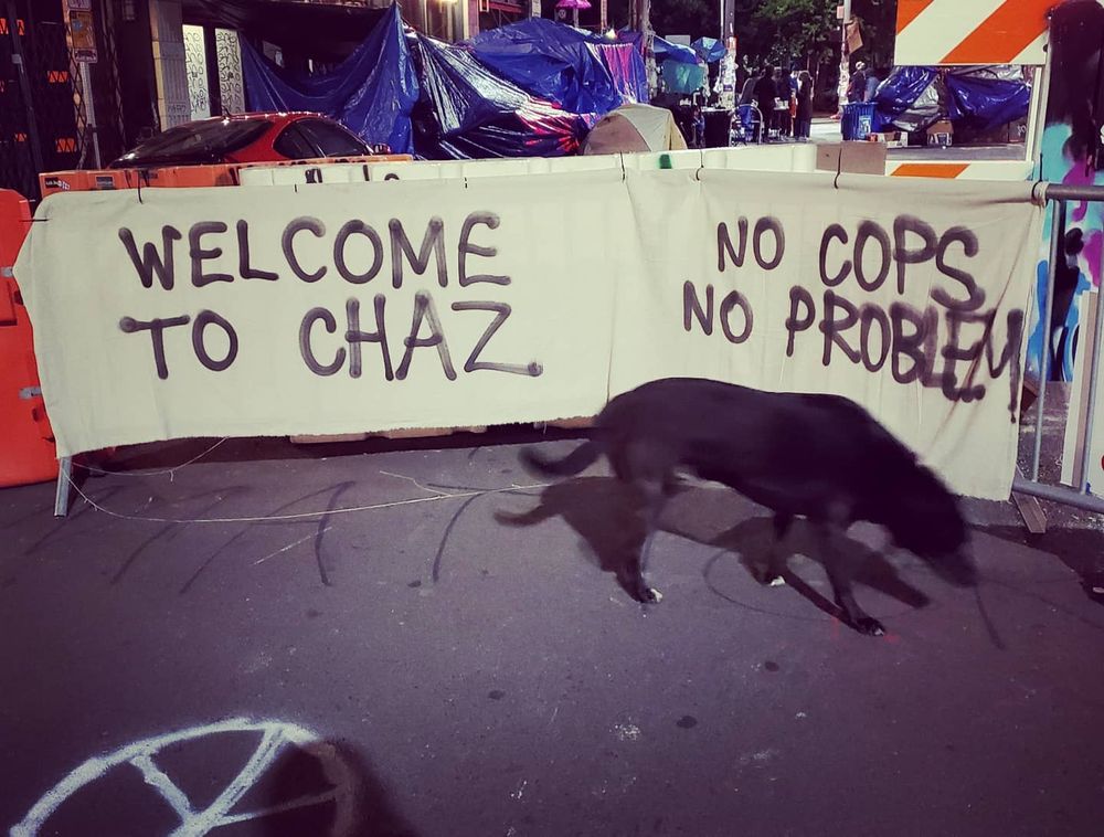 Black dog walking in street in front of barricade that reads "welcome to CHAZ" and "No cops, no problem"