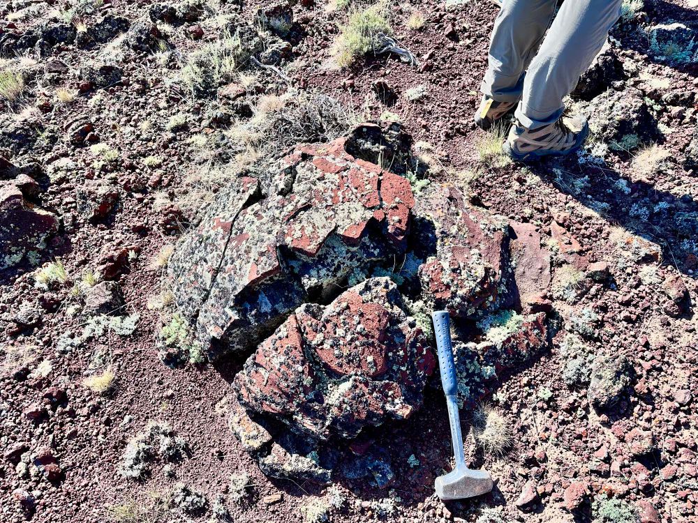 Volcanic bomb, likely basalt 