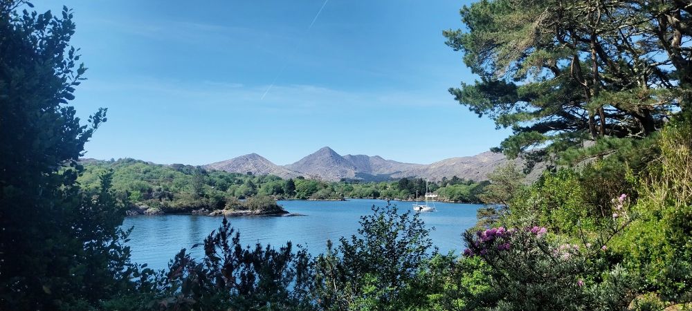 Vista desde la isla de Granish de la bahía de Bantry entre árboles con montañas y un velero de fondo