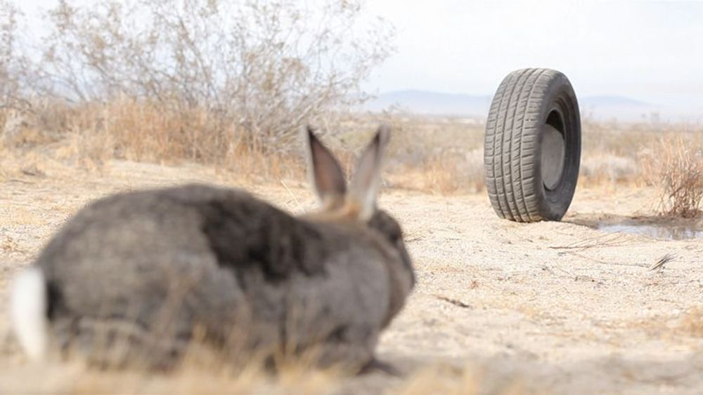 Rubber : sans maîtrise, la puissance n’est rien