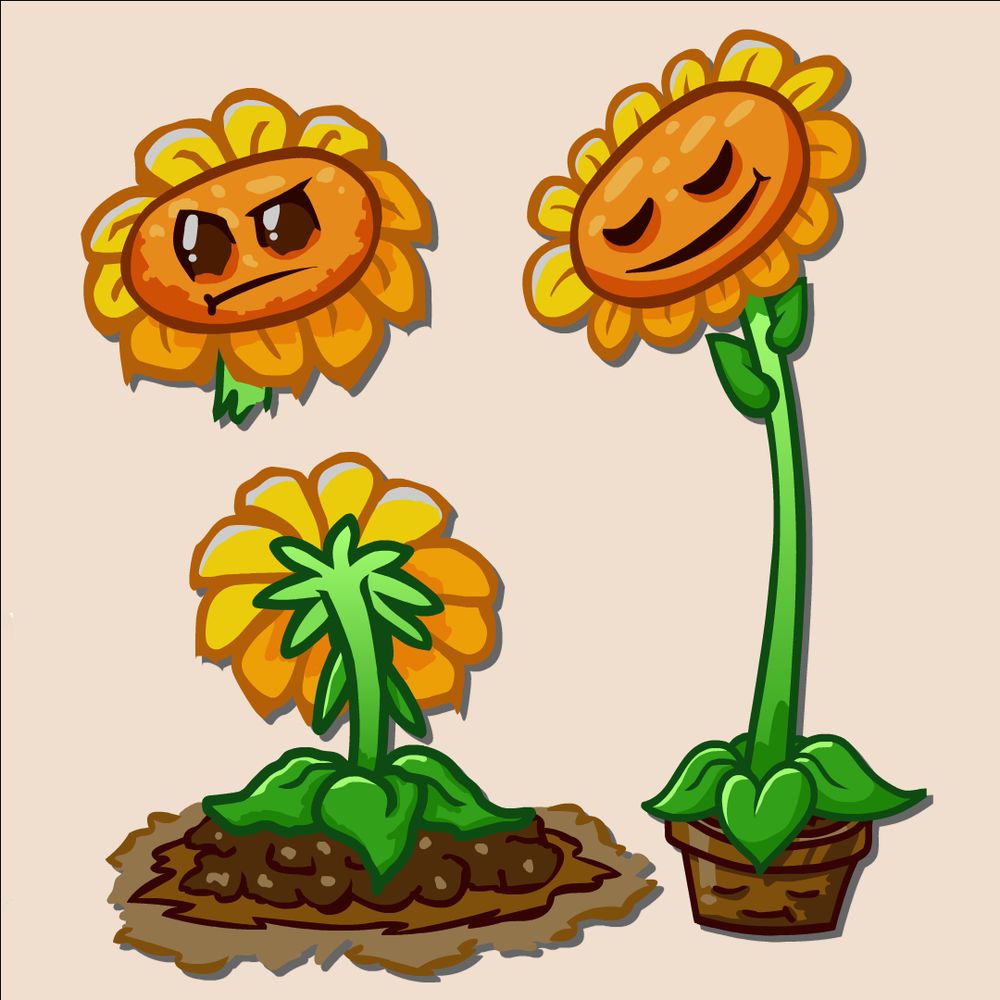 Sun floor-wer and comically long sunflower.