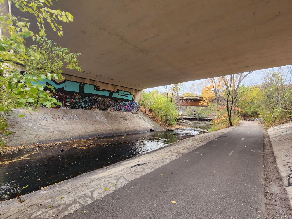 Underside of a bridge covered in colorful graffiti, a creak running past it.