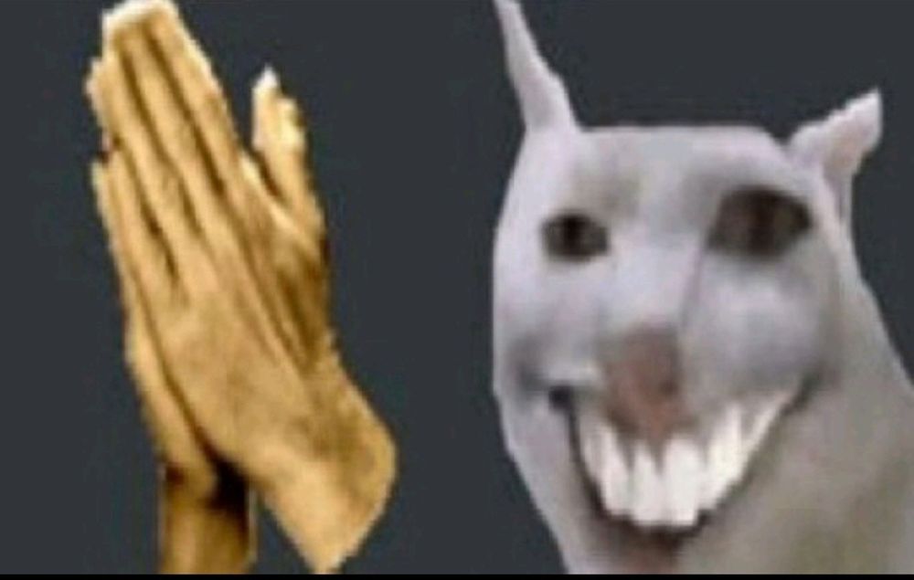 A screenshot of two discord emojis: one is of a pair of hands praying, the other is a white cat photoshopped to have half-lidded eyes and a disdainful smile.