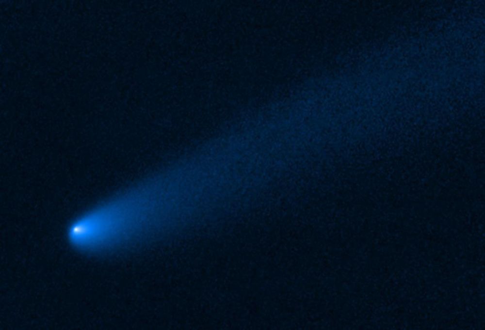 Gli scienziati svelano quando sarà possibile osservare la "cometa del secolo"