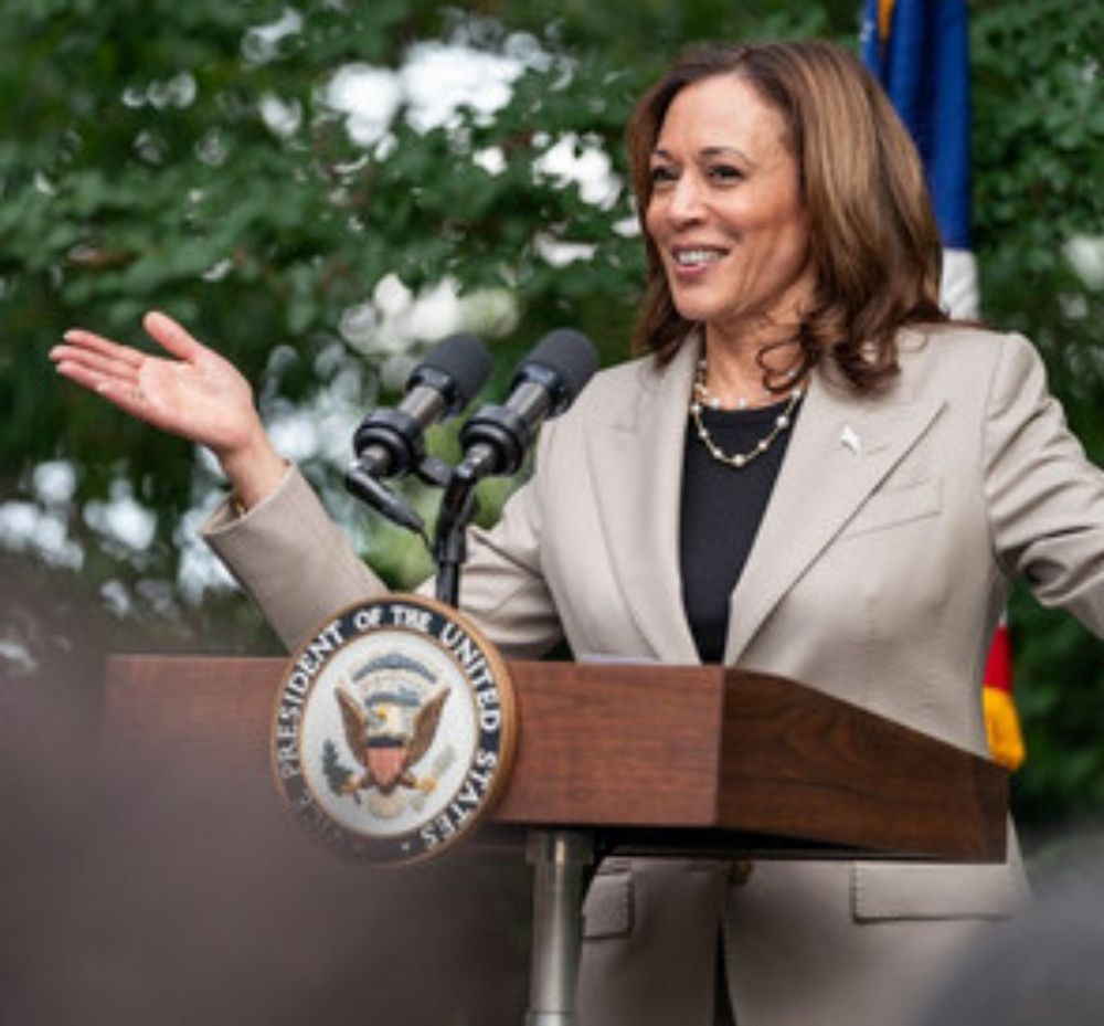 Elezioni USA, è ufficiale: Kamala Harris è la candidata Dem. Lei: "Un onore"