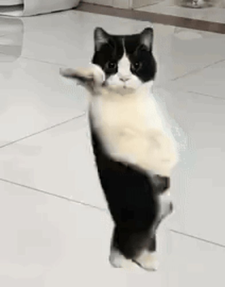 a black and white cat is standing on its hind legs holding a roll of paper towels .