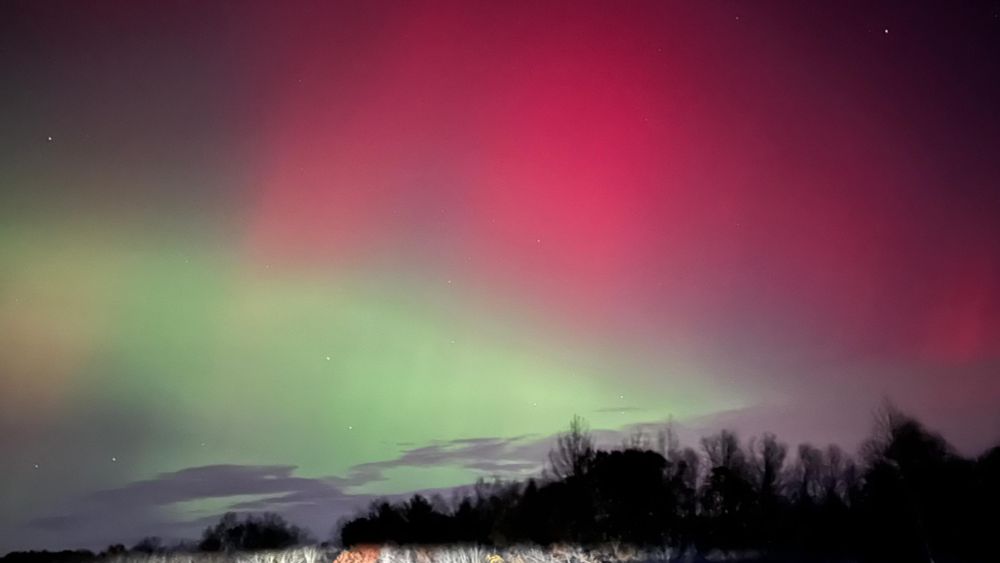 Aurora of greens and reds in the sky above MA