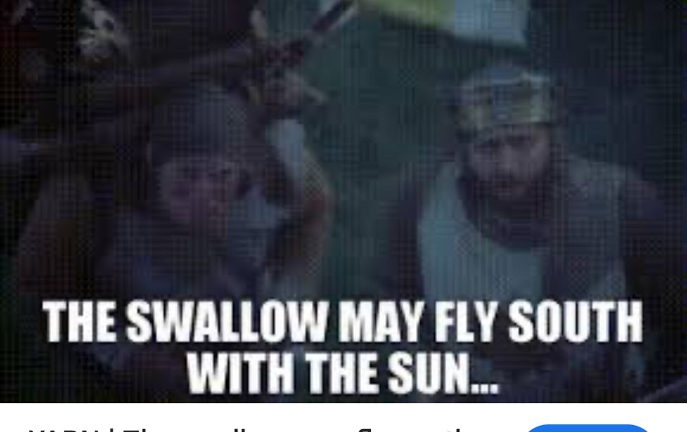 Clip from Monty Python and the Holy Grail where King Arthur is saying “the swallow may fly south with the sun”