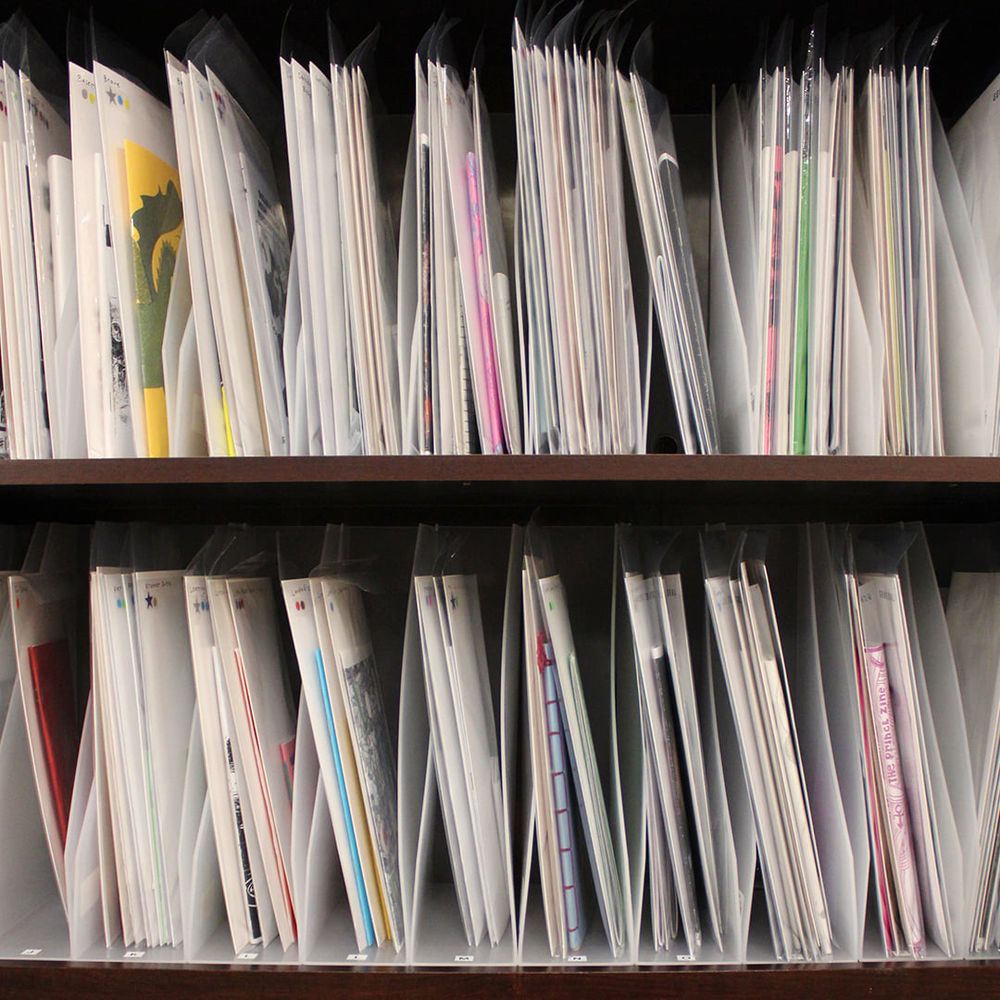 Photograph of zines from Bird's Nest Zine Library filed on a bookshelf.