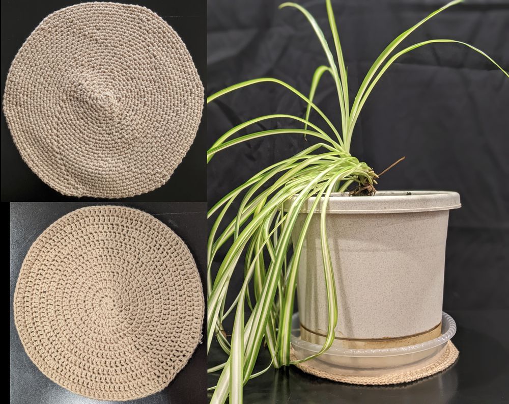 Collage of photos. Top-left: a moss-stitch crochet circle coaster. Bottom-left: A double-crochet circle coaster. Right: One of my bushier spider plants deployed on the moss stitch coaster.