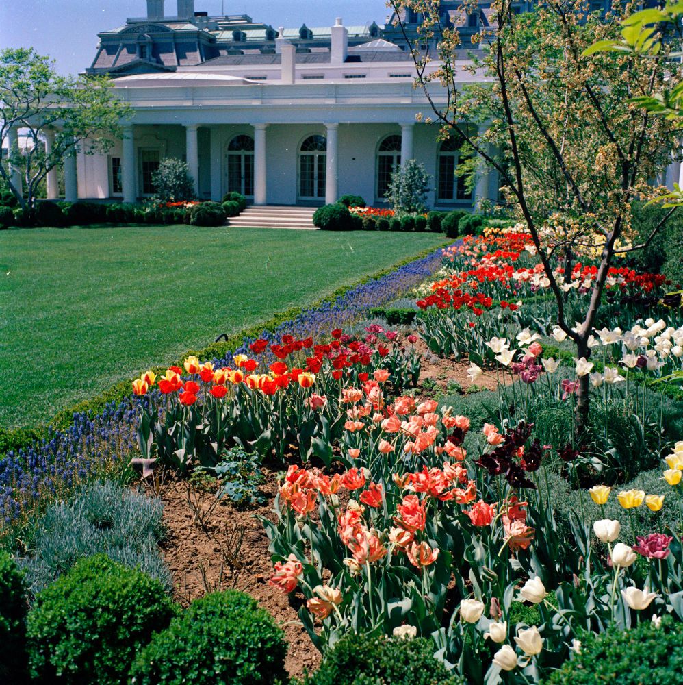 Jacqueline Kennedy’s gorgeous White House Rose Garden before that Slovenian whore destroyed it. 