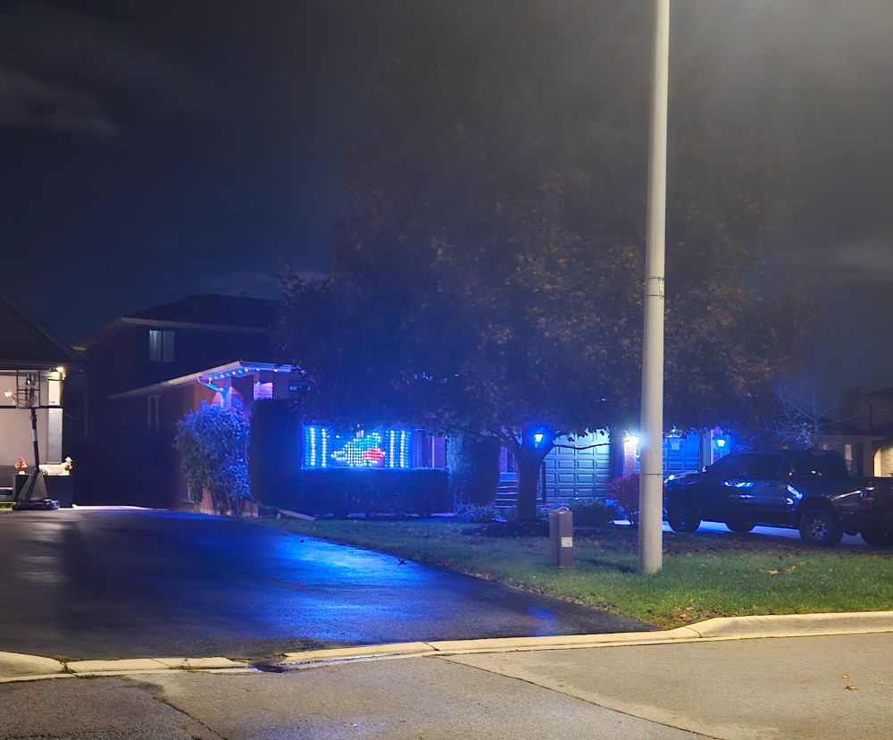 Blue jays logo in lights.