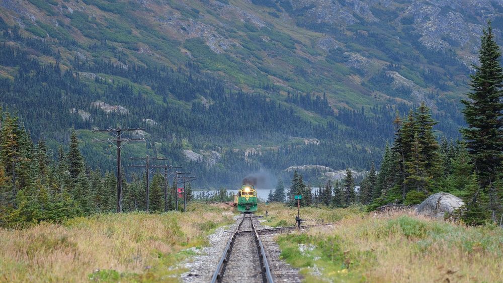 Green and yellow locomotives, coming around a bend in the track, with a wooded mountainside in the background