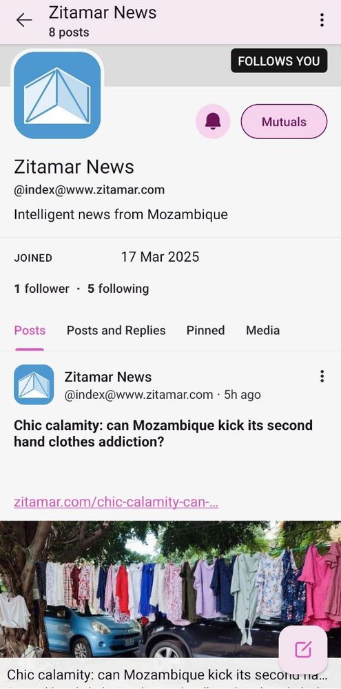 Zitamar News' Mastodon profile, which is @index@www.zitamar.com

The image also shows the latest post, of yesterday's newsletter, entitled "Chic calamity: can Mozambique kick its second hand clothes addiction?"