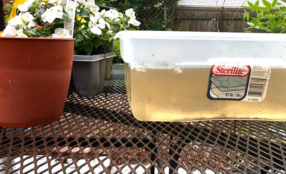 plastic tray on patio table showing 3.75 inches of rain captured