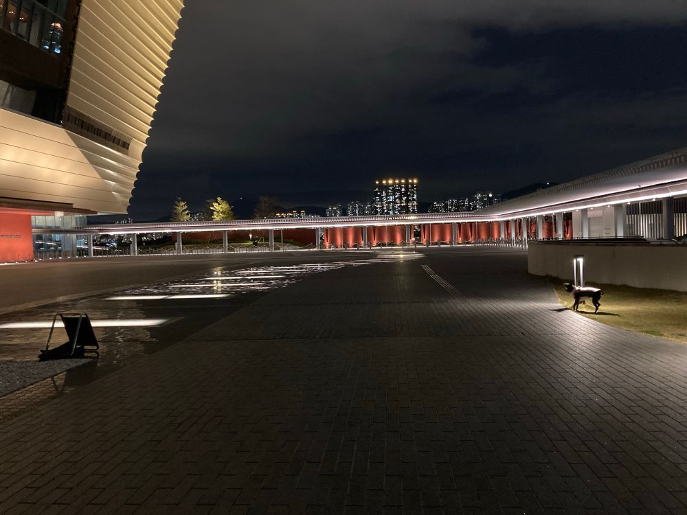 The same dog is off in the distance under a light, facing the palace museum.