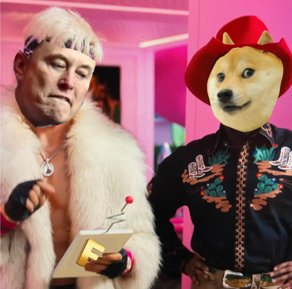Doge at work