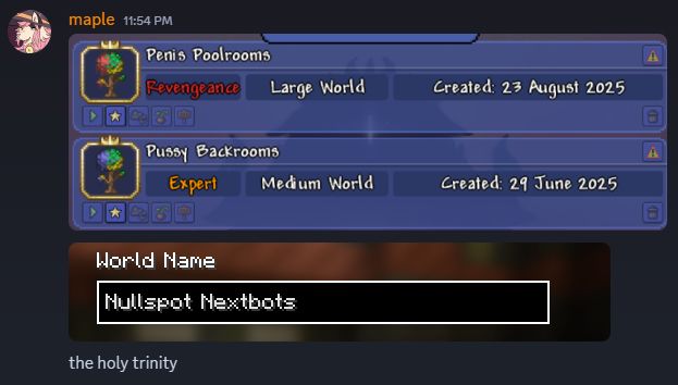 a discord screenshot containing two screenshots, one from terraria and the other from minecraf. the world names of the terraria worlds are "pussy backrooms" and "penis poolrooms", and the name of the minecraft world is "nullspot nextbots". below is a message sent from me saying "the holy trinity"