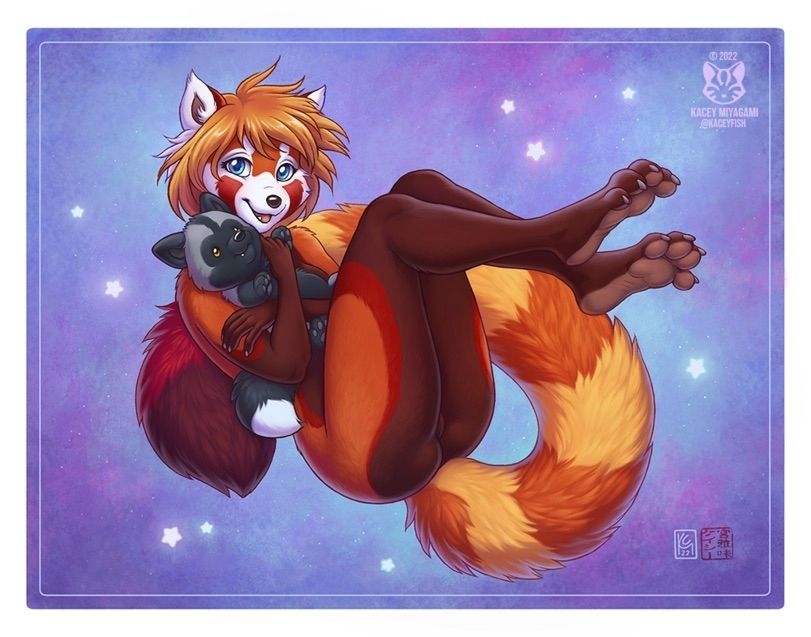 Red panda hugging a black dog plush that looks like a poocheyana.