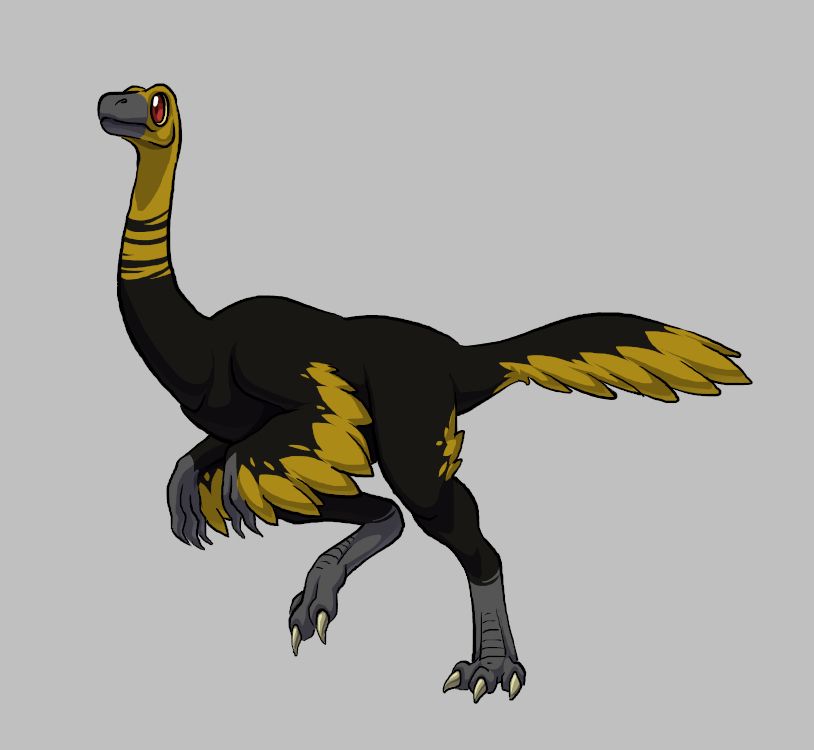 The ornithomimid Gallimimus. It has a long neck and slender body. It looks similar in body shape to a modern day ostrich. It's long arms are covered in proto-feathers as it's long tail. It's coloration is a very dark brown with gold highlights on the tips of the feathers and partway up it's neck and whole head. It's lower legs, hands and muzzle are all a lighter grey with bone white talons on it's feet. 