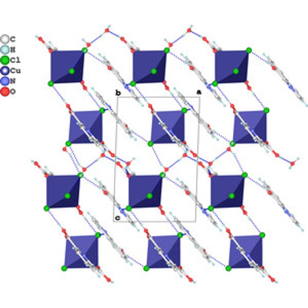 8-Hy­droxy­quinolinium tri­chlorido­(pyridine-2,6-di­carb­oxy­lic acid-κ3O,N,O′)copper(II) dihydrate