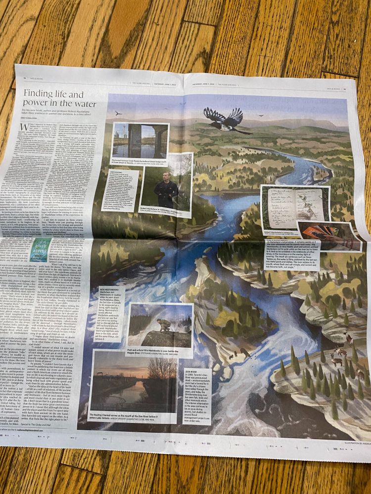 The brilliant end result by illustrator Andrea Cheung