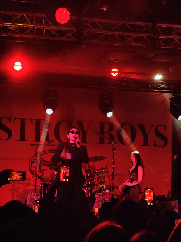 Destroy Boys performing at a Chicago venue