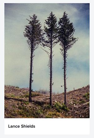 PhotoAlliance SF Metaphors of Recent Times. ©Lance Shields. All Rights Reserved.