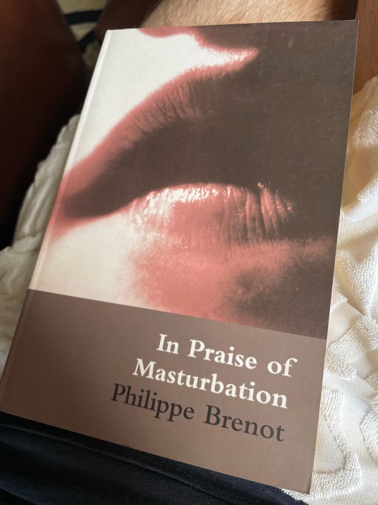 The book, In Praise of Masturbation by Philippe Brenot, sat on my lap