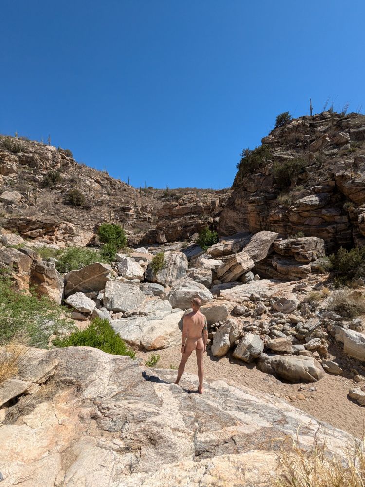 Nude man, standing and facing away from camera, surrounded by a rocky desert canyon.