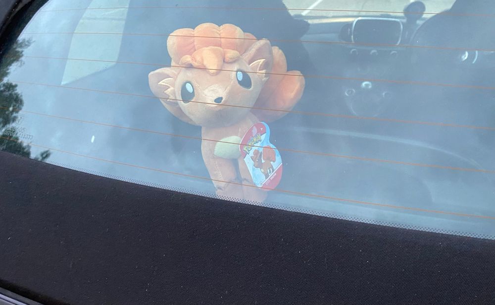 Real life picture of a Vulpix looking out of the rear window of a car.

Vulpix! Vul vul